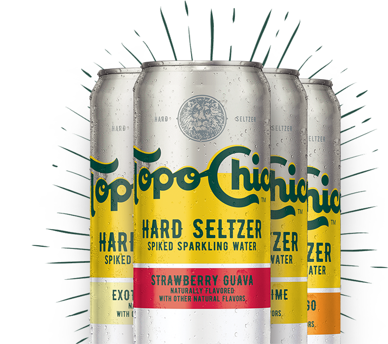 Topo Chico Hard Seltzer 12 Pack Variety Pack